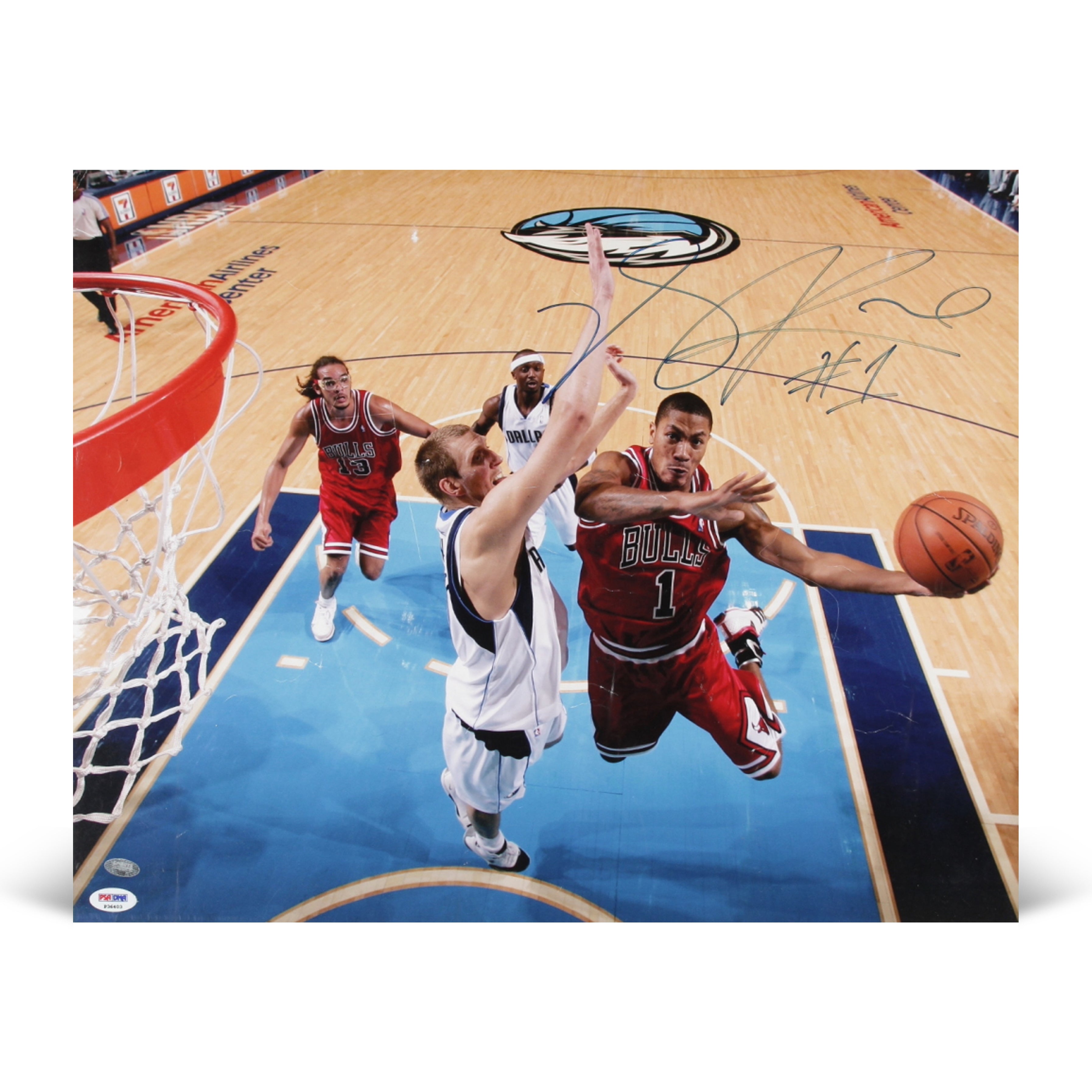 Derrick Rose Signed Bulls 16x20 Custom Matted Photo Display (Steiner & PSA)